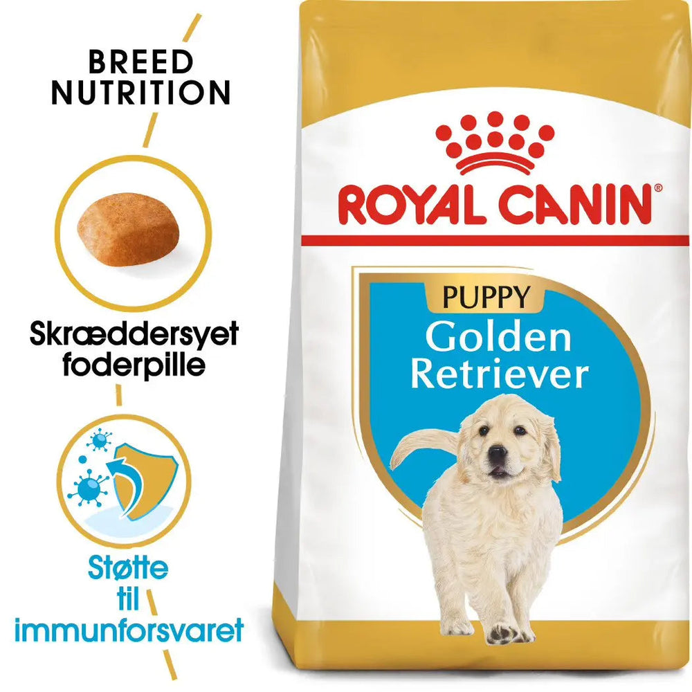 Puppy Golden Retriever 12 kg