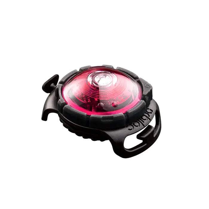 Dog Dual Lygte 48x30x24 mm pink