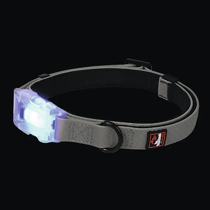 USB lyshalsbånd Polar Light M ca 300 m synlighed grå