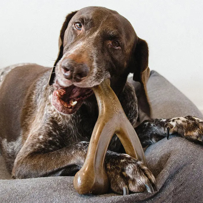 Wishbone bacon giant