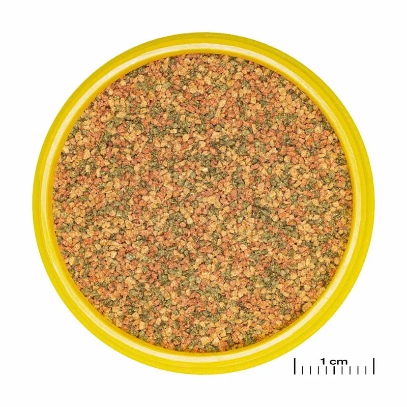 Pronovo Bel Granulat xs 100 ml