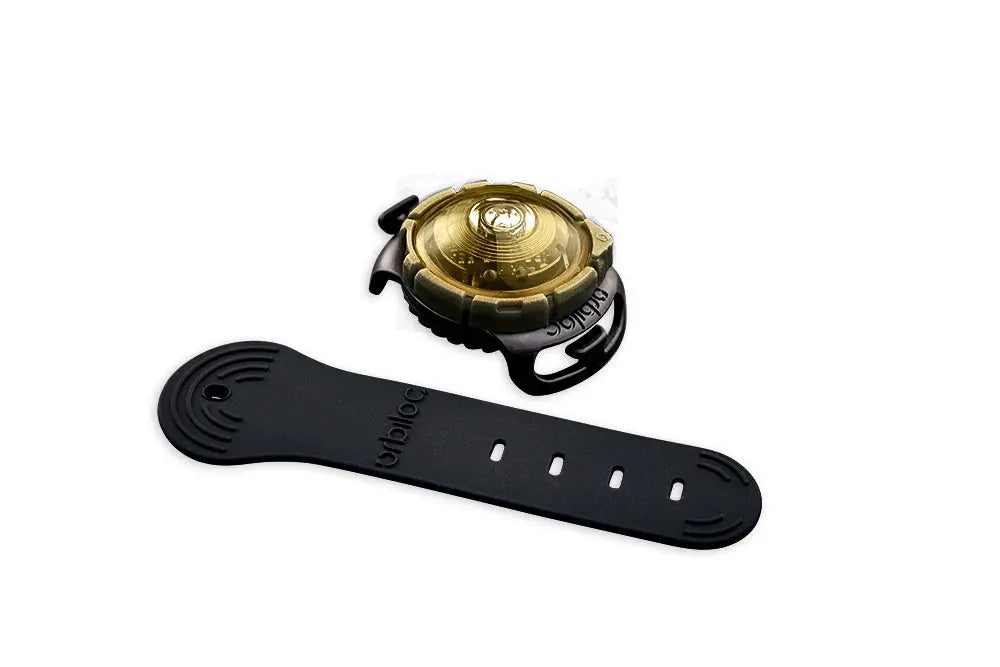Dog Dual Lygte 48x30x24 mm guld