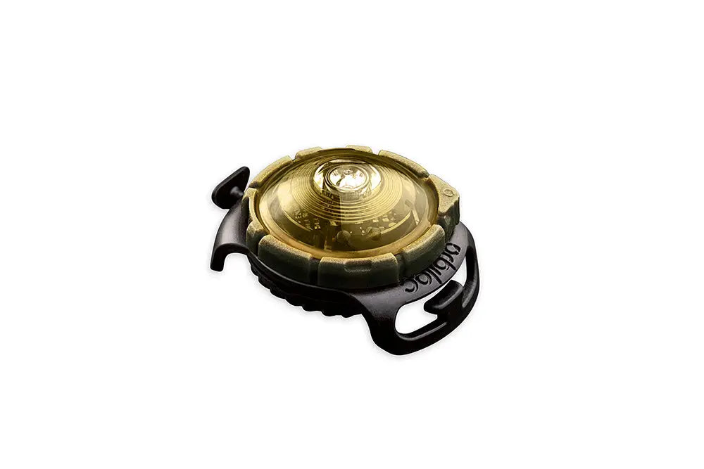 Dog Dual Lygte 48x30x24 mm guld