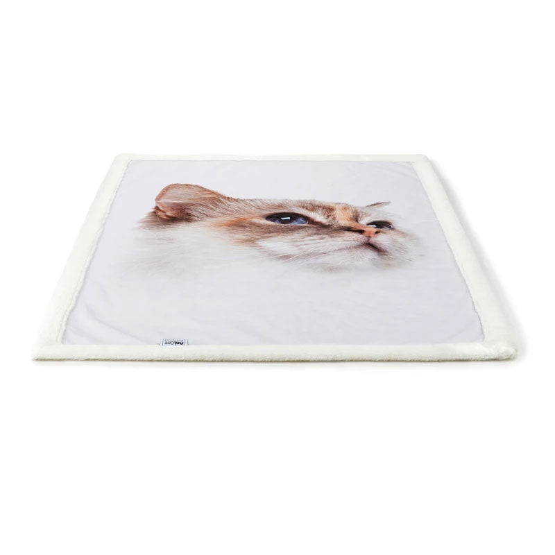 Tæppe til katte120x85 cm